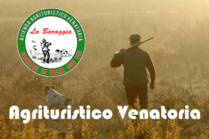 la baraggia caccia alla starna in piemonte