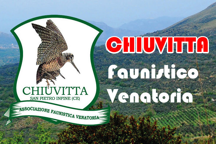 chiuvitta caccia alla starna in campania