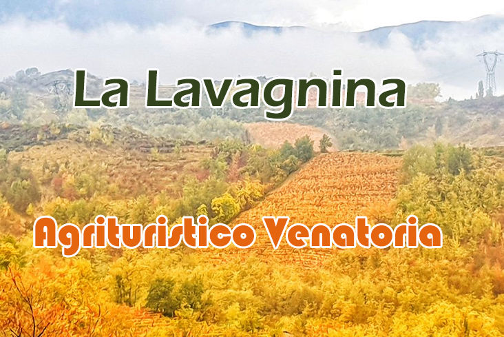 La lavagnina caccia alla starna in piemonte