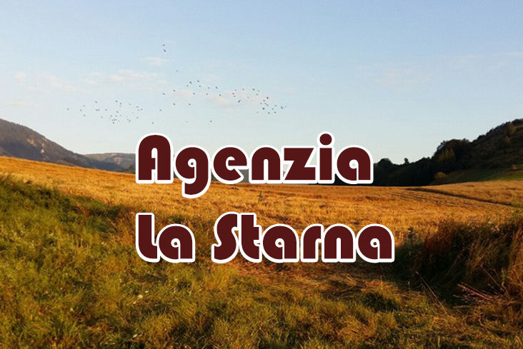caccia al fagiano in serbia la starna
