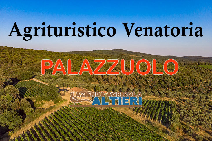 palazzuolo caccia al fagiano in toscana
