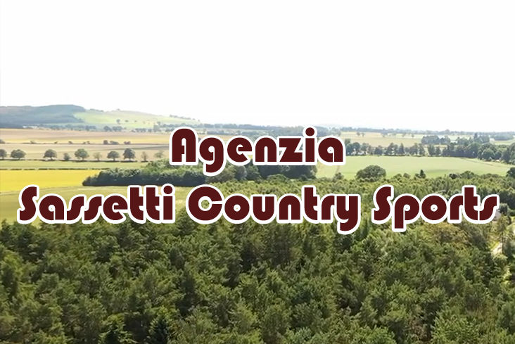 caccia alla lepre in romania sassetti country sports